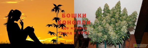 тгк Армянск