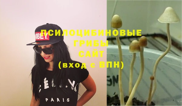 твердый Аркадак
