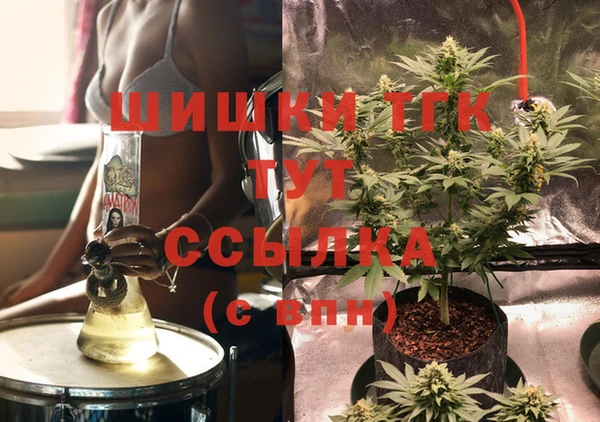 тгк Армянск