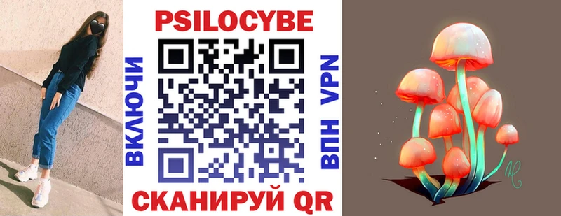 Псилоцибиновые грибы Psilocybe  кракен   Артём 
